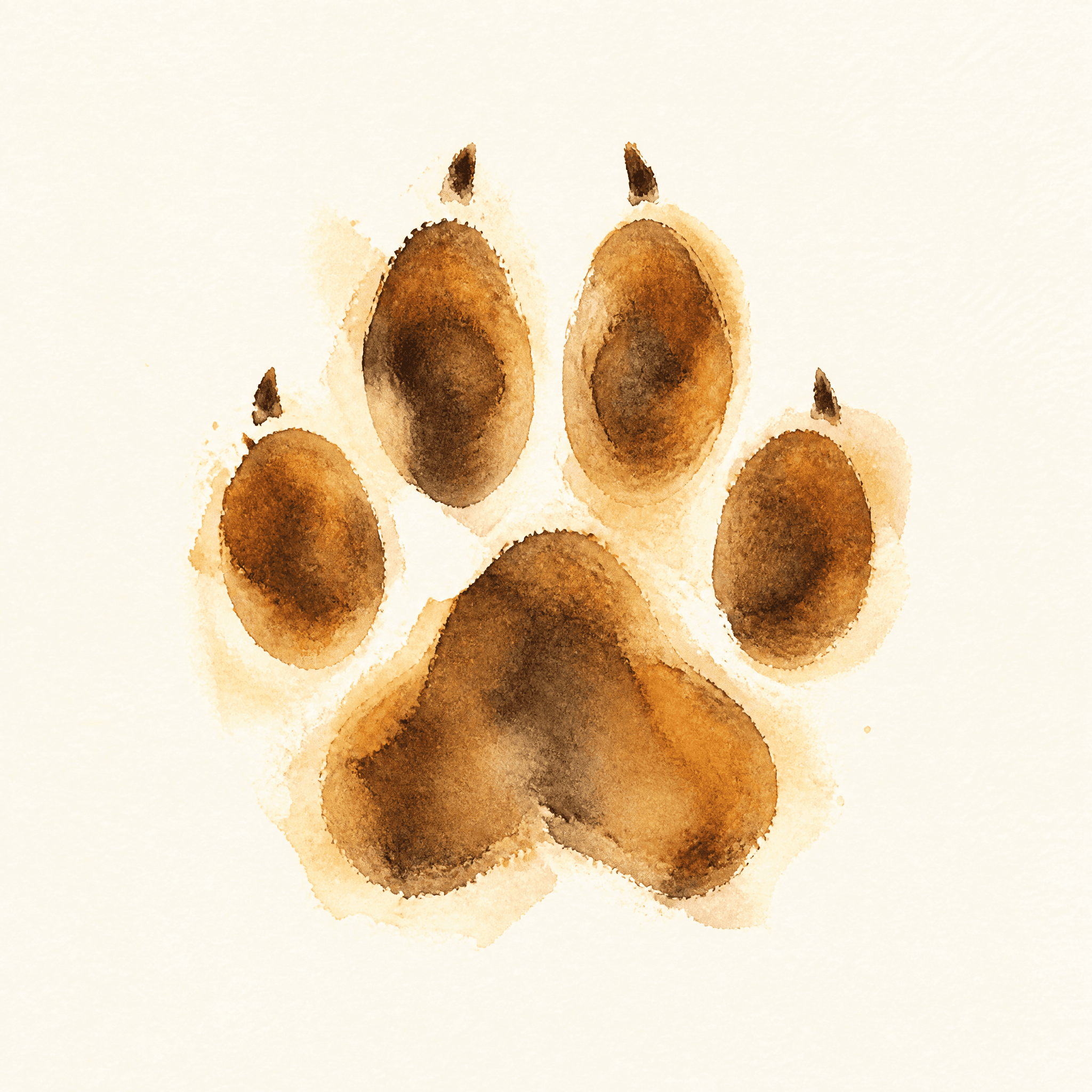 Affiche Empreinte de Patte — aquarelle chien