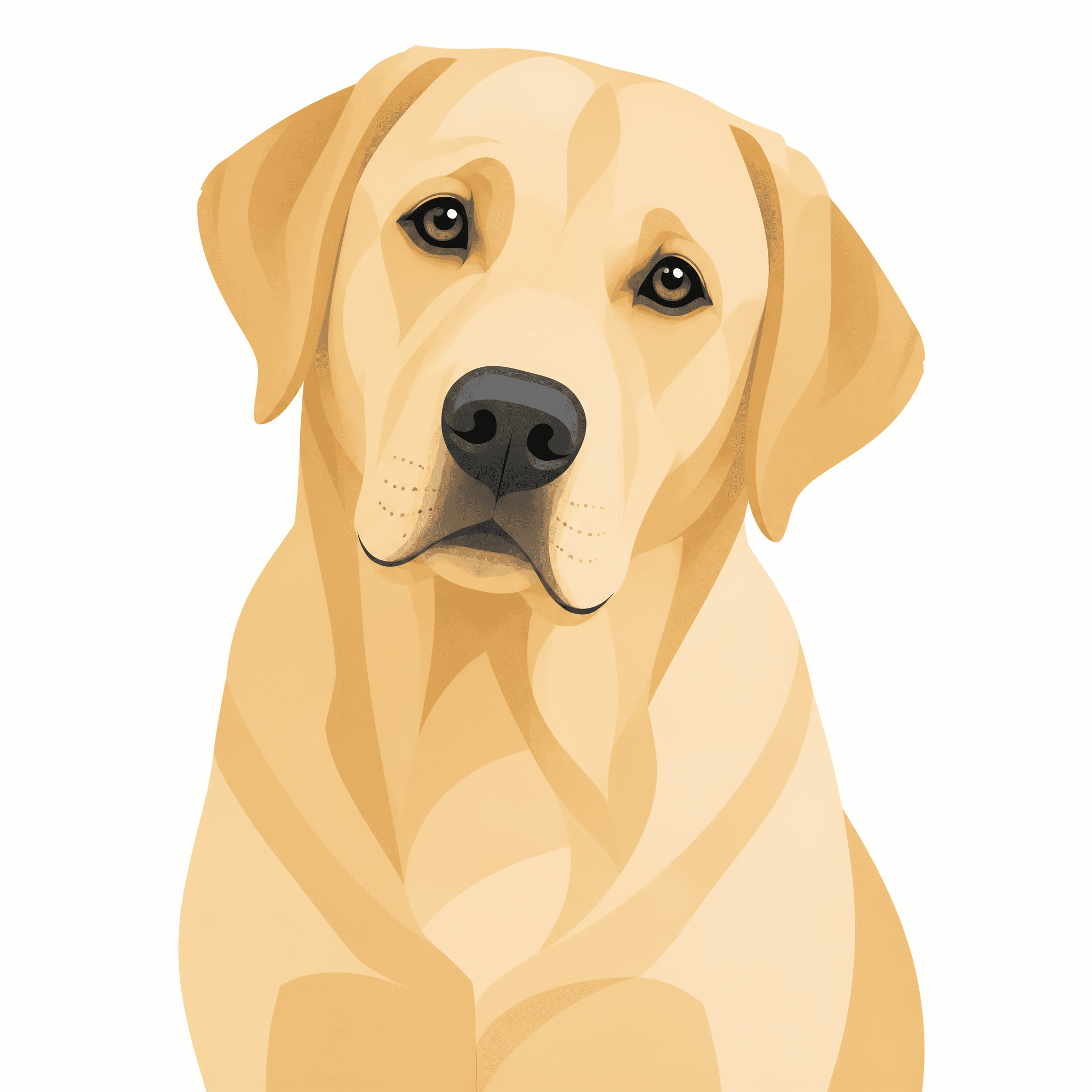 Affiche Labrador — portrait flat graphic
